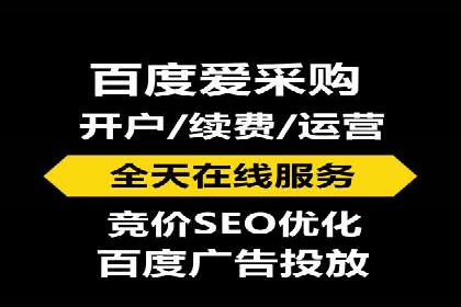 百度竞价广告的成功之路：企业运营案例集